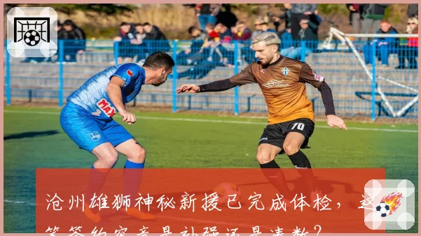沧州雄狮神秘新援已完成体检，这笔签约究竟是补强还是凑数？