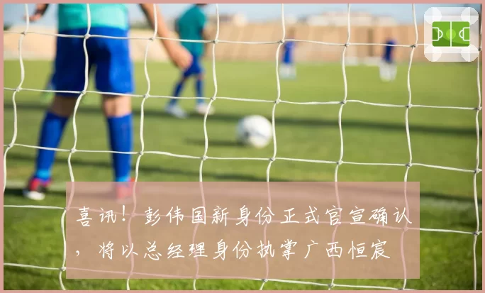 喜讯！彭伟国新身份正式官宣确认，将以总经理身份执掌广西恒宸